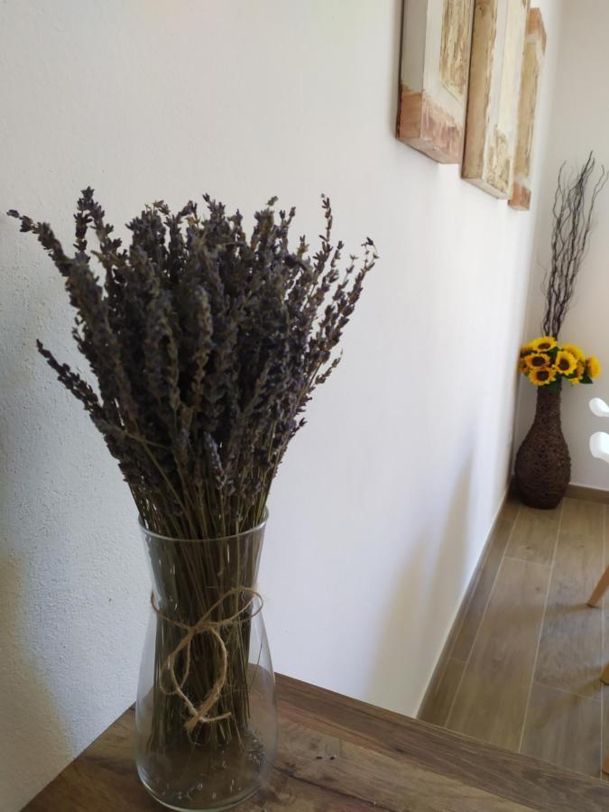 Apartamentos Xert Escapadas En Castellon Cerca De Morella Y Peniscola Chert Sant Mateu Экстерьер фото